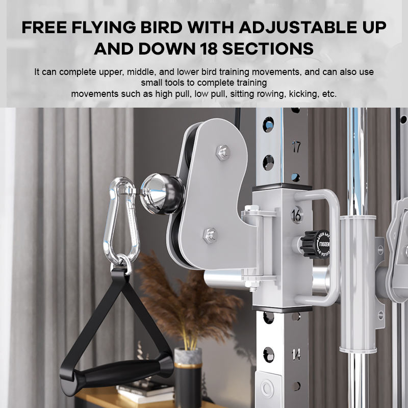 YTYIN Fabryczny Dostawca Sprzę – Home Gym With Smith Machine recenzja i cena